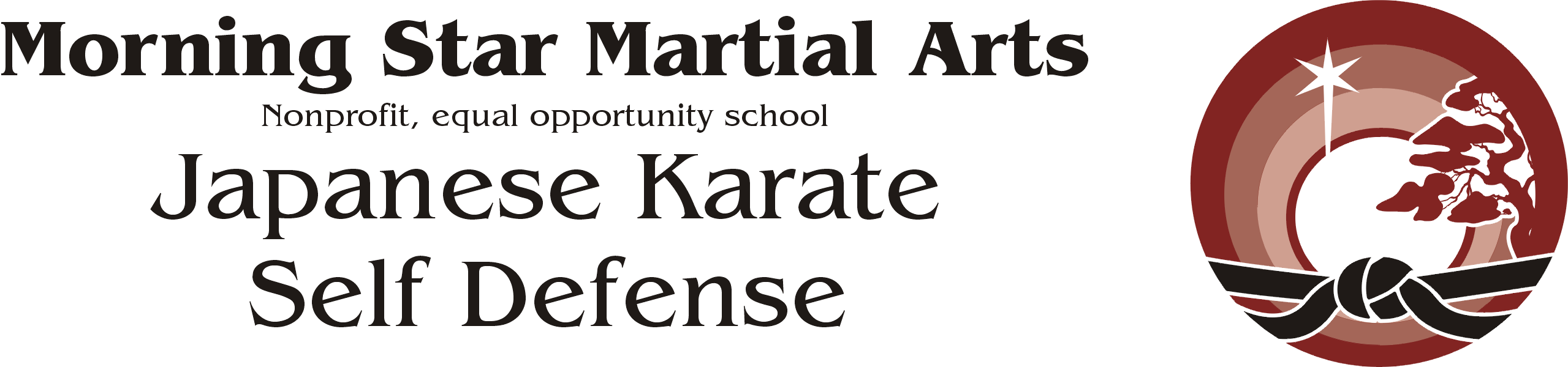 Morning Star Martial Arts banner image