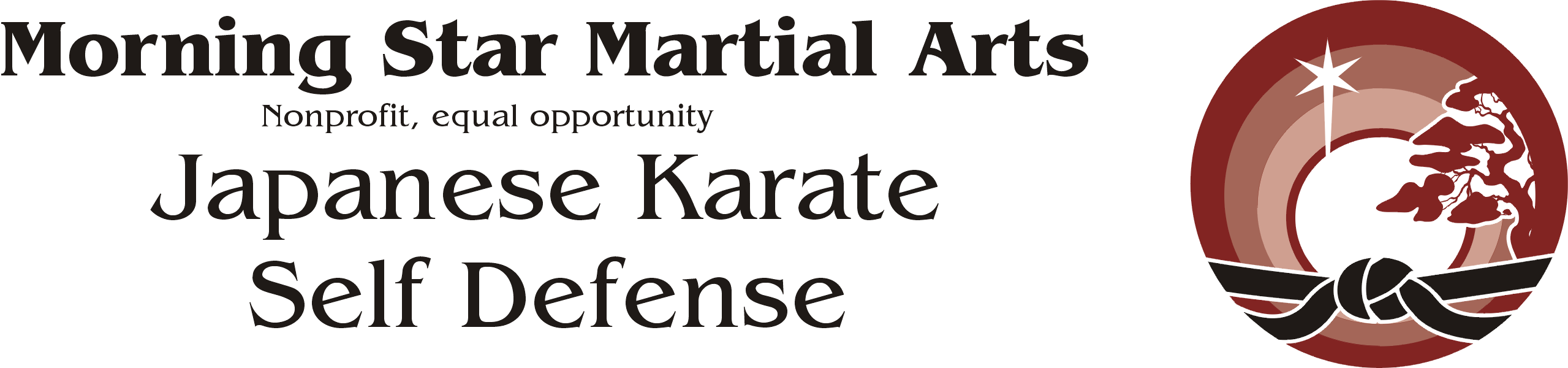 Morning Star Martial Arts banner image